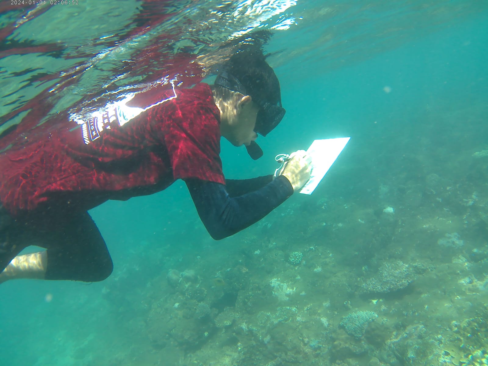 Pemantauan pemutihan karang oleh FPIK UB. Istimewa