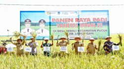 Bupati Lamongan Yuhronur Efendi akrab disapa Pak Yes bersama pemangku kepentingan panen raya padi di Desa Kedali, Kecamatan Pucuk, Selasa (8/7/2025). Foto: Tugusatu/YKB