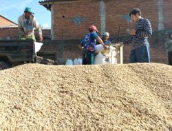 Surplus Pangan Melimpah, Kabupaten Malang Jadi Penopang Utama Program Makan Bergizi Gratis
