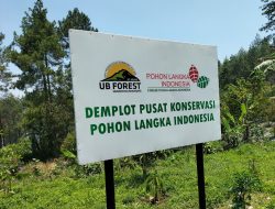 UB Forest Konservasi Kekayaan Hayati Indonesia Lewat Paket Adopsi Pohon Langka