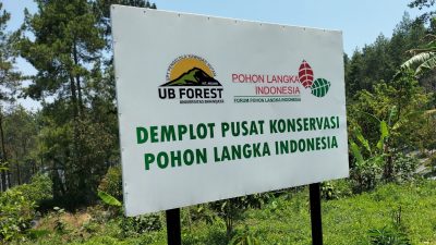 UB Forest Konservasi Kekayaan Hayati Indonesia Lewat Paket Adopsi Pohon Langka