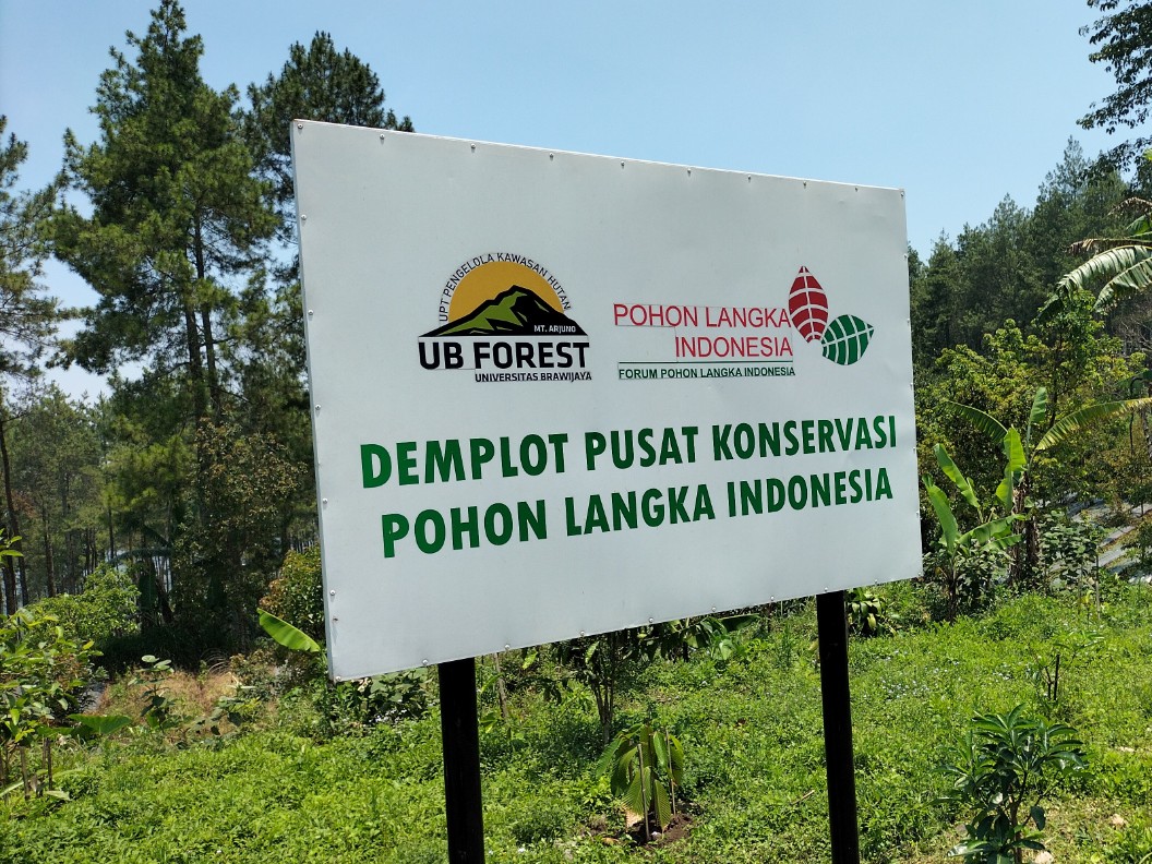 Pusat konservasi pohon langka Indonesia milik UB Forest di Dusun Sumberwangi, Kecamatan Karangploso, Kabupaten Malang, Jawa Timur. Foto: Tugusatu/Bagus Suryo