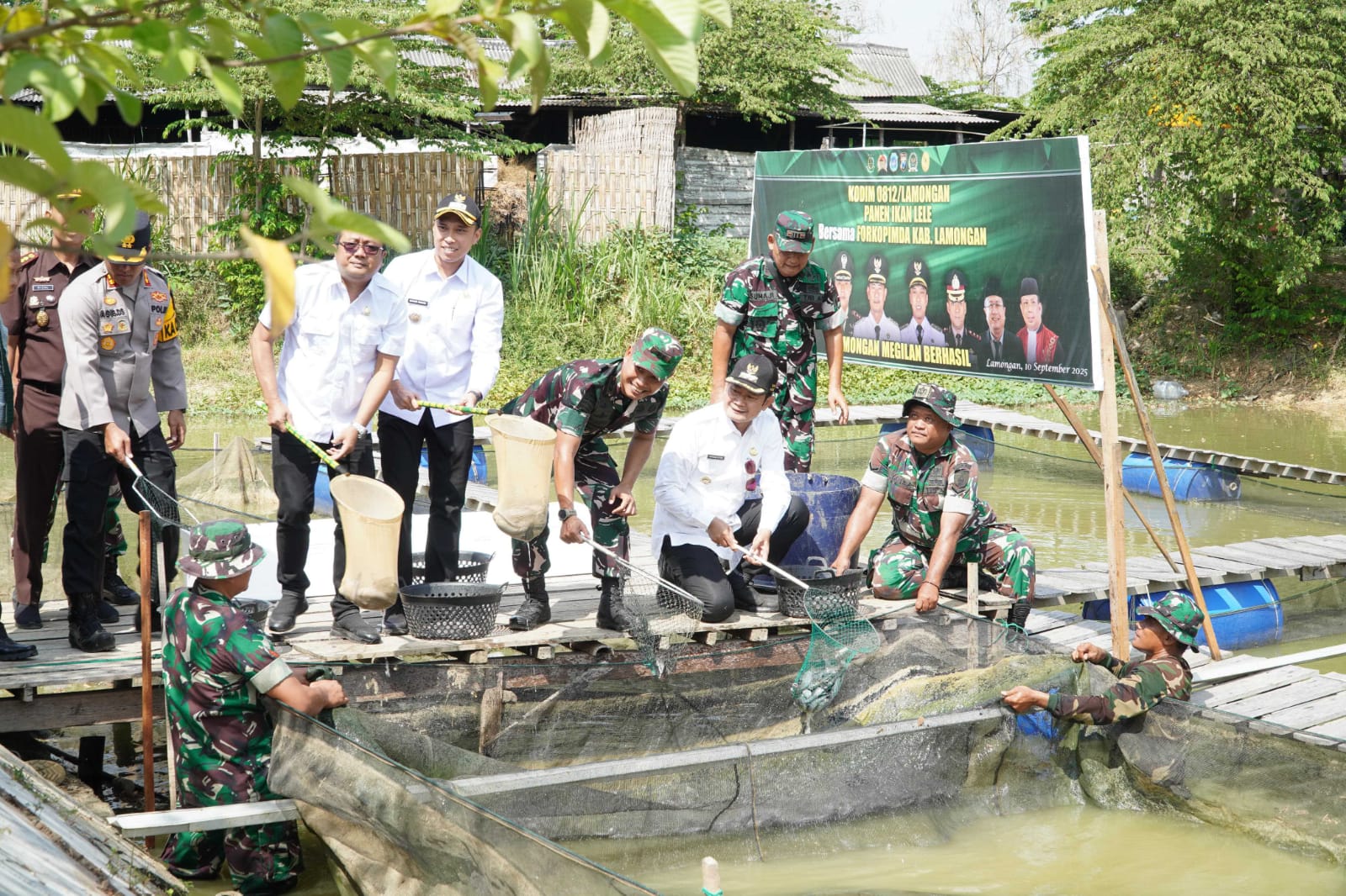 Bupati Lamongan Yuhronur Efendi akrab disapa Pak Yes bersama Forkopimda panen ikan lele.