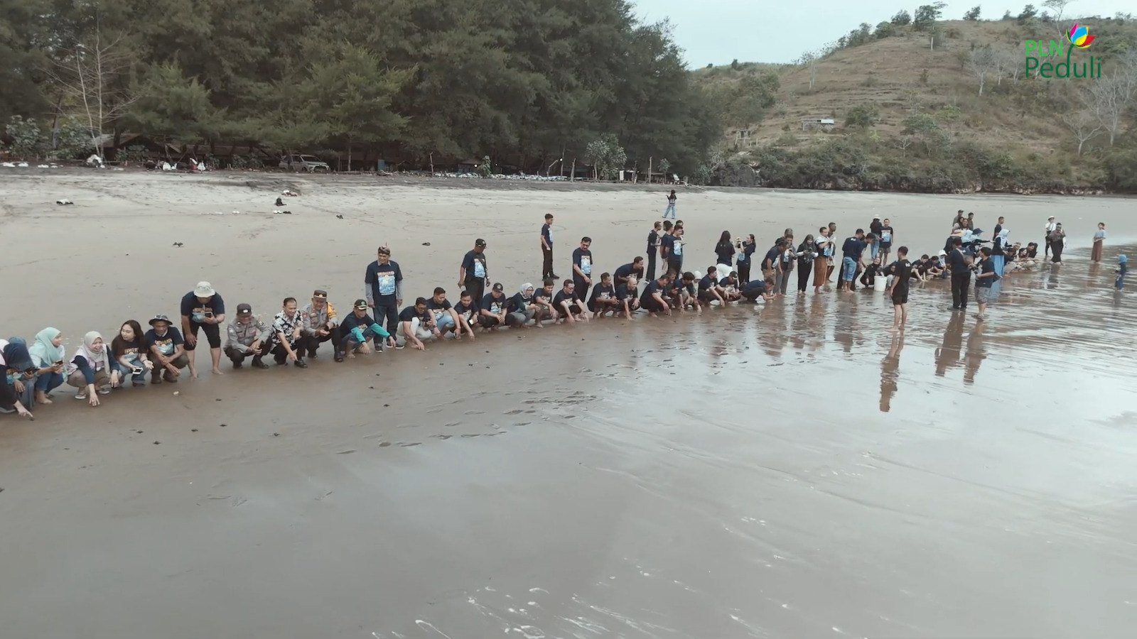PT PLN Nusantara Power UP Brantas bersama Komunitas Konservasi Penyu Segoro Lestari dan masyarakat melepas tukik dalam kegiatan Turtle Talk dan Sea Turtle Release.