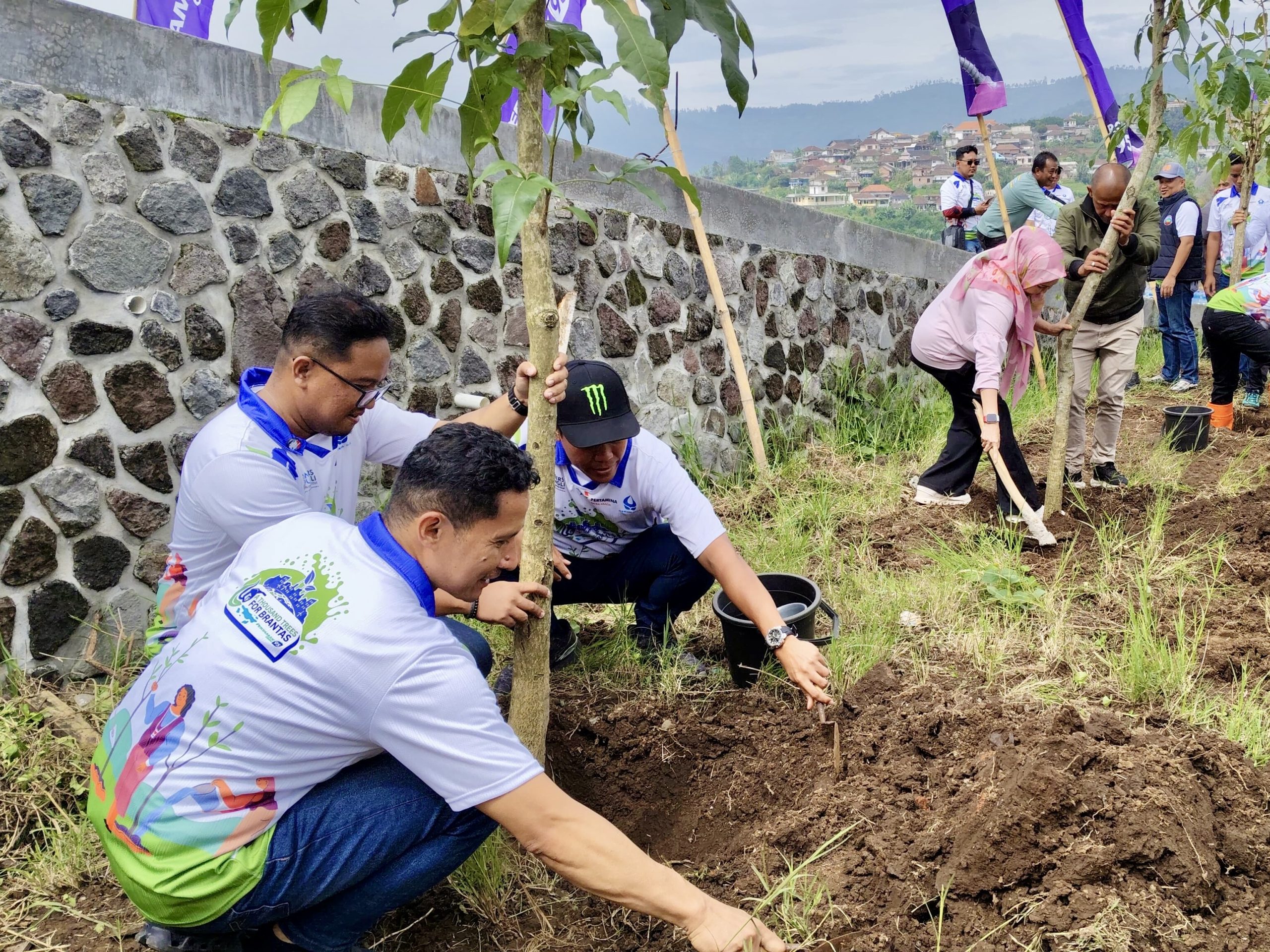 Penanaman 1000 Pohon