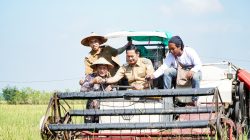 Bupati Lamongan Yuhronur Efendi panen raya padi. Foto: Tugusatu/Yakub/ist