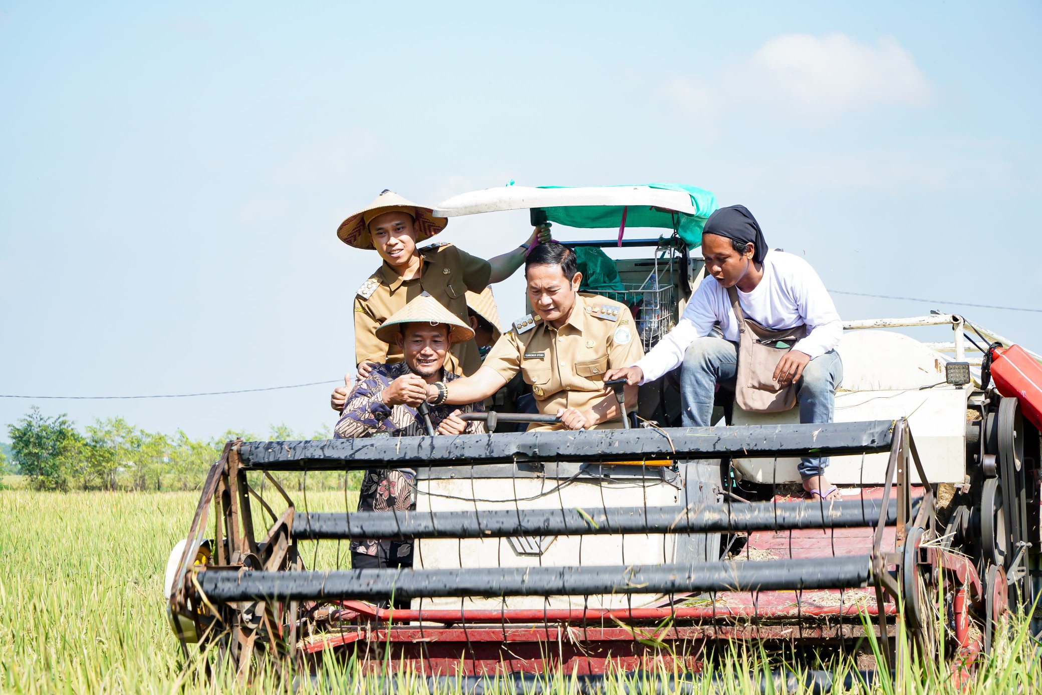 Bupati Lamongan Yuhronur Efendi panen raya padi. Foto: Tugusatu/Yakub/ist