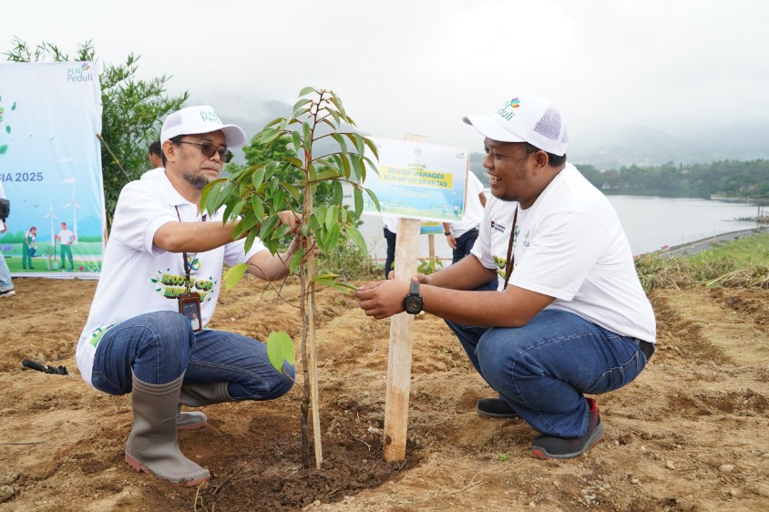 PLN Nusantara Power Unit Pembangkitan Brantas terlibat dalam Aksi Menanam 10.000 pohon di kawasan Waduk Selorejo dan sepanjang pesisir Daerah Aliran Sungai (DAS) Brantas. Foto-foto: Dok. PLN NP UP Brantas