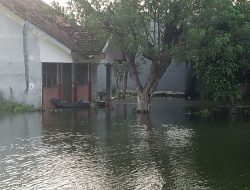 Banjir Lamongan Meluas, Rendam Tambak dan Sawah di Lima Kecamatan