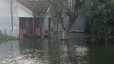 Banjir Lamongan Meluas, Rendam Tambak dan Sawah di Lima Kecamatan