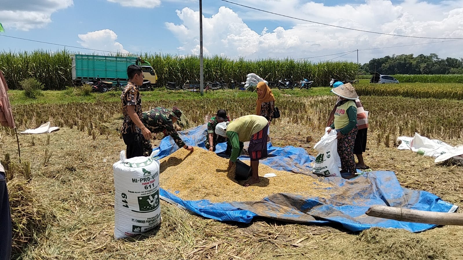 Penyerapan perdana gabah di Kecamatan Kasembon, Kabupaten Malang, sebanyak 15.540 Kg GKP oleh Perum BULOG Malang. Istimewa