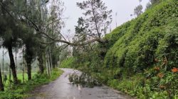 Cuaca Ekstrem, TNBTS Tutup Camping Ground Ranu Regulo