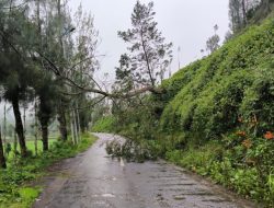 Cuaca Ekstrem, TNBTS Tutup Camping Ground Ranu Regulo