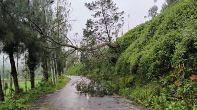 Cuaca Ekstrem, TNBTS Tutup Camping Ground Ranu Regulo