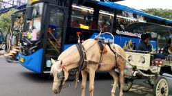 Angkot Digelontor Rp1,8 Miliar Layani Pelajar Kota Malang Terhubung Selter Trans Jatim