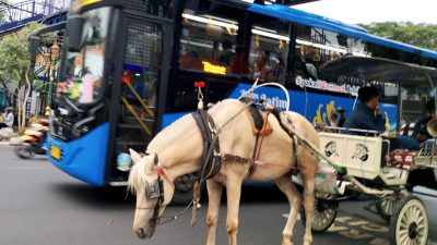 Bus Trans Jatim melintasi kawasan Kayutangan Heritage di Kota Malang, Jawa Timur. Foto: Tugusatu/Bagus Suryo