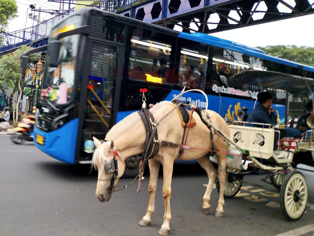 Bus Trans Jatim melintasi kawasan Kayutangan Heritage di Kota Malang, Jawa Timur. Foto: Tugusatu/Bagus Suryo