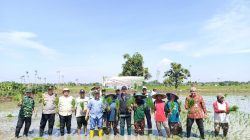 Gerakan Tanam Padi bersama petani di Desa Lopang, Kecamatan Kembangbahu, Kabupaten Lamongan, Jawa Timur. Foto: Tugusatu/Ahmad Yakub/ist