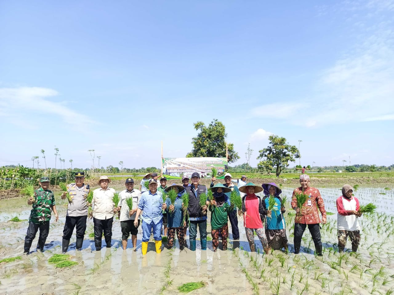 Gerakan Tanam Padi bersama petani di Desa Lopang, Kecamatan Kembangbahu, Kabupaten Lamongan, Jawa Timur. Foto: Tugusatu/Ahmad Yakub/ist