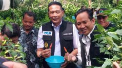 Wali Kota Malang Wahyu Hidayat memantau stok cabai di petani menjelang Lebaran 2026. Foto: Tugusatu/Maghfirotul Hasanah