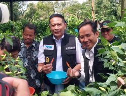 Warung Tekan Inflasi Jadi Opsi Kendalikan Harga Cabai Jelang Lebaran 2026