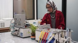 Dosen Universitas Brawijaya Prof. Dr. Aulanni’am, drh., DES mengembangkan Rapid Test Kit untuk diagnosis penyakit pada kucing. Foto: Dok. UB