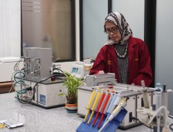 Rapid Test Kit Buatan Profesor UB Deteksi Dini Penyakit Kucing