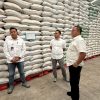 Meski Surplus Produksi, Bulog Malang Janji Serap Beras Petani