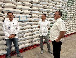 Meski Surplus Produksi, Bulog Malang Janji Serap Beras Petani