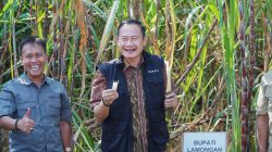 Pemkab Lamongan Kejar Target Swasembada Gula