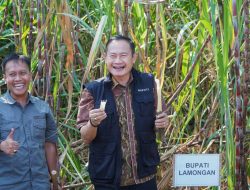 Pemkab Lamongan Kejar Target Swasembada Gula