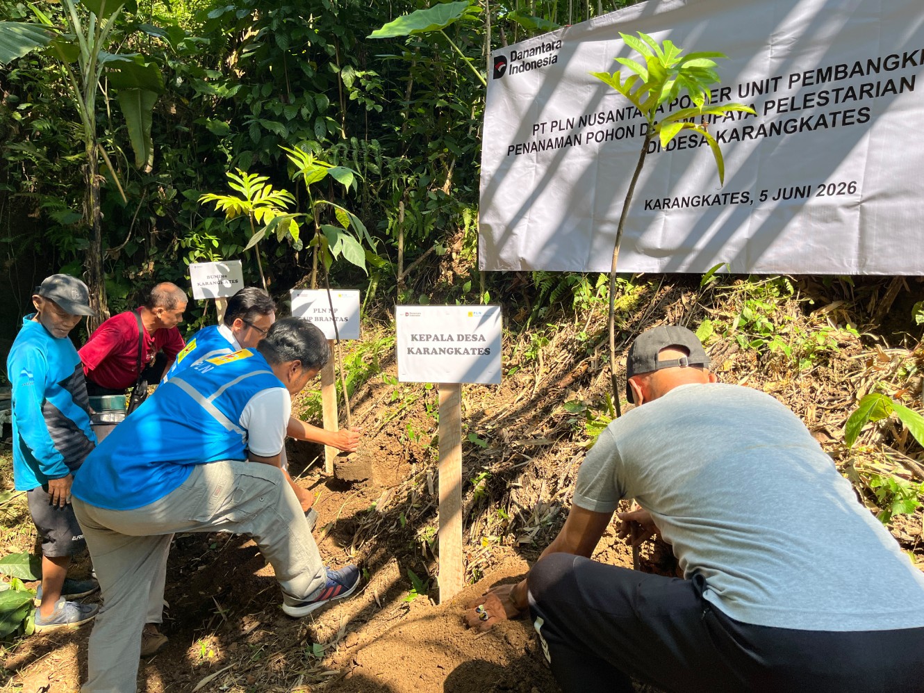 PT PLN Nusantara Power Unit Pembangkitan Brantas (PLN NP UP Brantas) menanam pohon di kawasan sumber mata air Desa Karangkates, Kecamatan Sumberpucung, Kabupaten Malang, Jawa Timur, Jumat (5/6/2026). Foto: PLN NP UP Brantas
