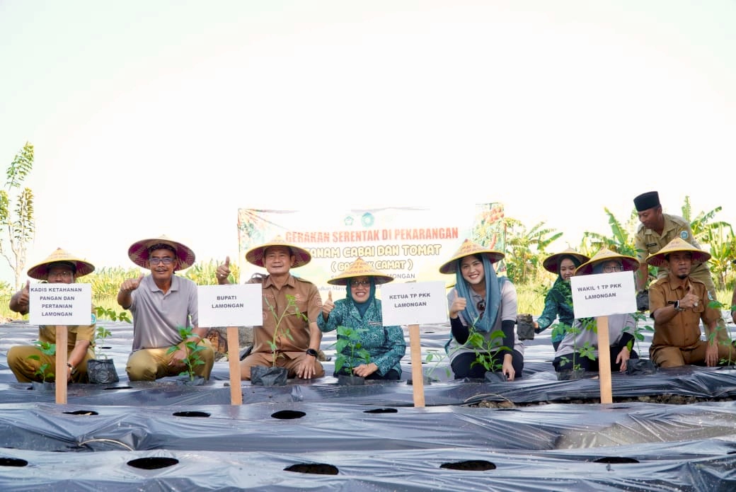 Bupati Lamongan Yuhronur Efendi menanam cabai bersama masyarakat.