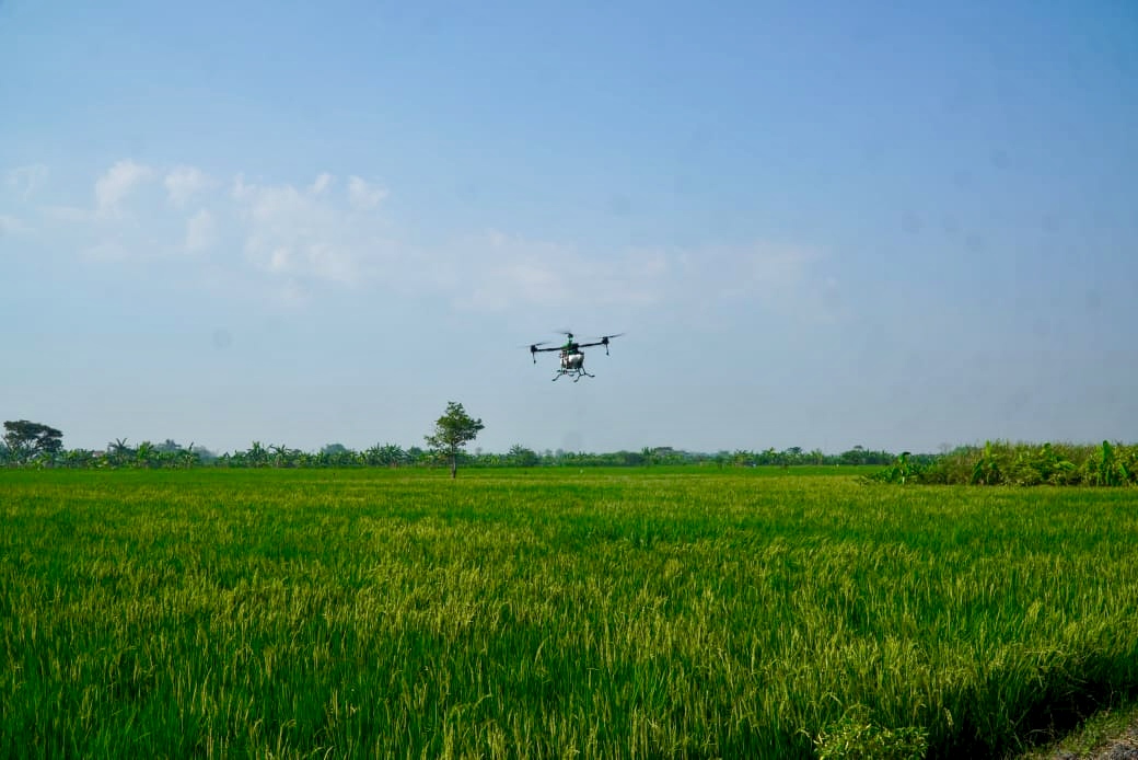 Drone pembasmi organisme pengganggu tanaman.