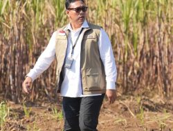 BULOG Perkuat Sinergi Ketahanan Pangan melalui Panen Raya Serentak TNI
