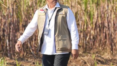 BULOG Perkuat Sinergi Ketahanan Pangan melalui Panen Raya Serentak TNI