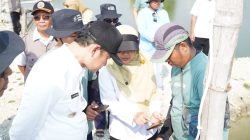 Terapkan Teknologi Perikanan Dongkrak Panen Kerapu Lamongan Tembus Pasar Ekspor